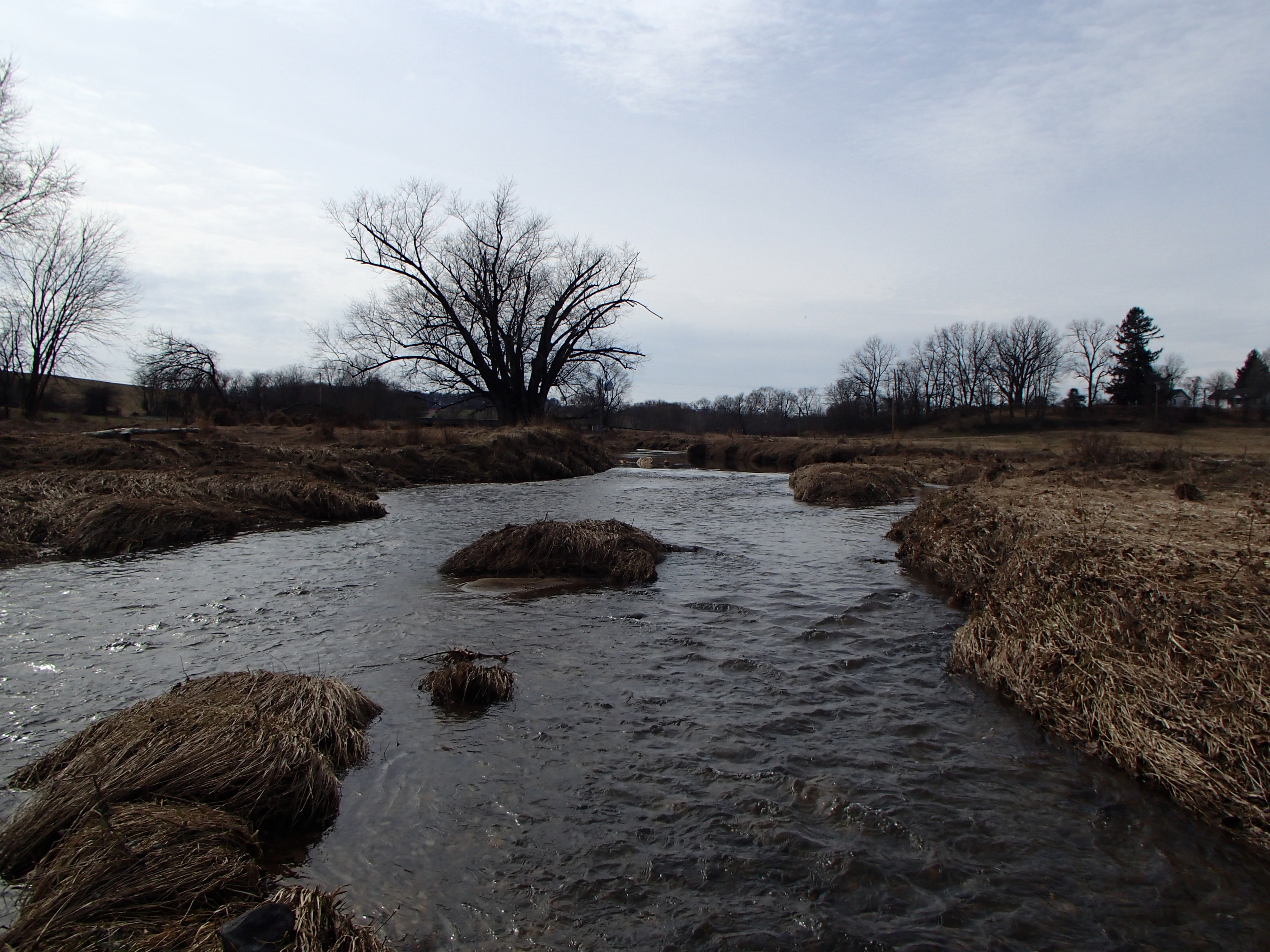 Field photo showing stream conditions at site SBPA-303-X-2016_midpoint looking downstream
